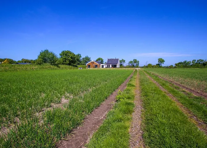Aenbetje Daire Goedereede